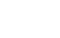 Hisense Partner